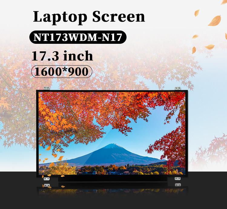 17.3 ίντσες Tft Lcm Μονάδα Αρχική NT173WDM-N17 30pin 220 Nit 1600x900 EDP LED οθόνη φορητού υπολογιστή